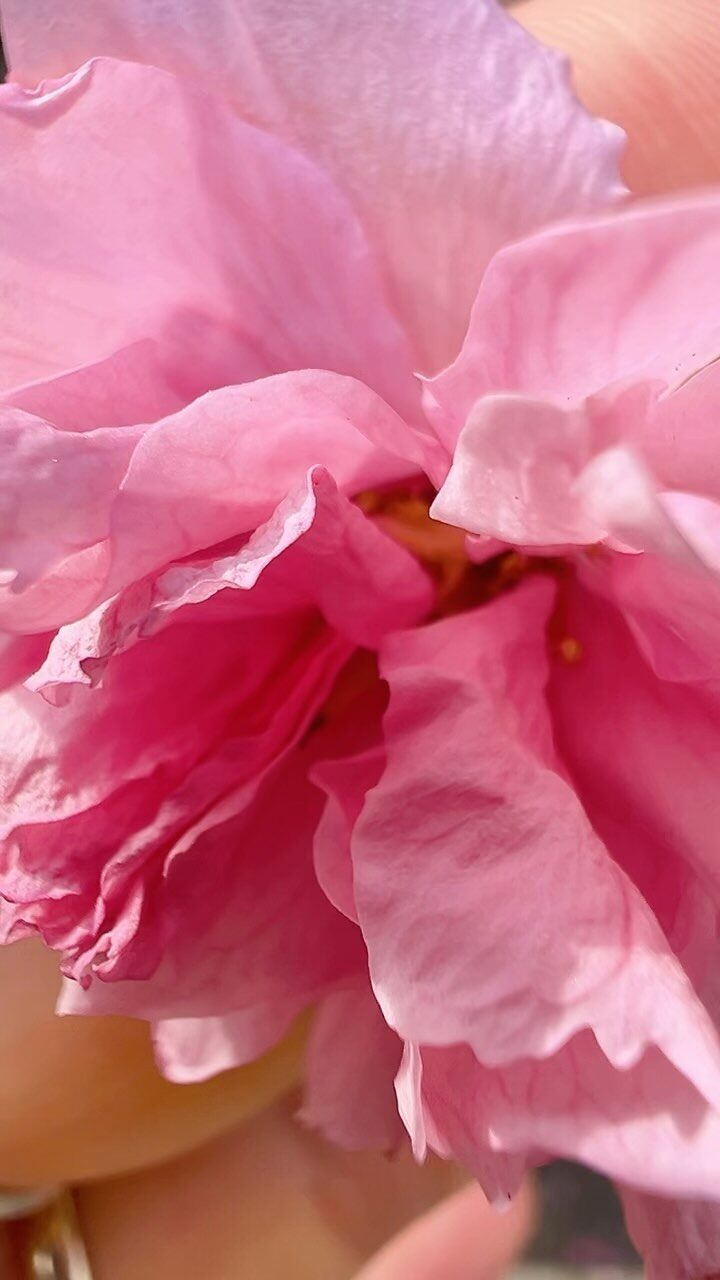 Instagram post from anja.alberg_stimme.mit.herz. This post is in position 6.